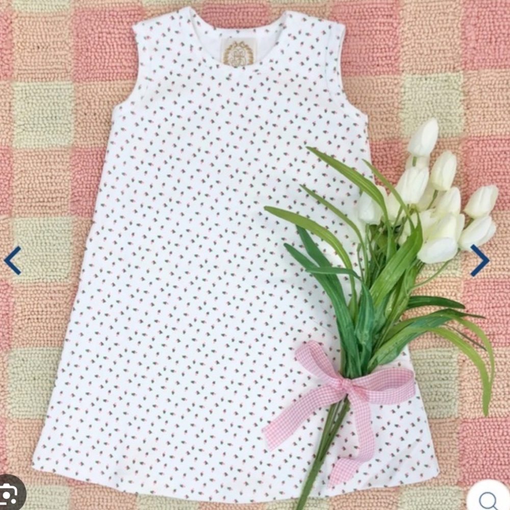 NWT TBBC port royal rosebud sleeveless Polly Play Dress size 4T 🌹